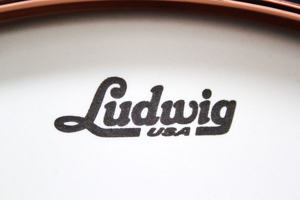 Ludwig Black Beauty 14" Snare - White Powder Coated - LB403TDC