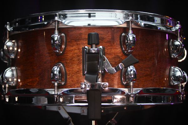 Premier Artist Maple 14'' Snare Drum 
