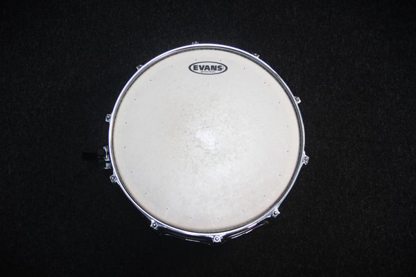 Premier Artist Maple 14'' Snare Drum 