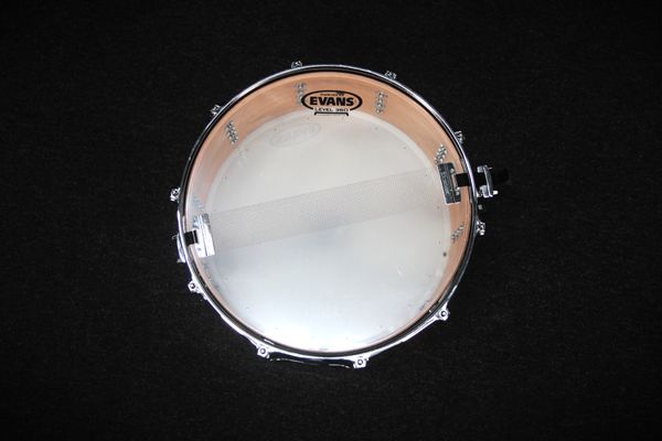 Premier Artist Maple 14'' Snare Drum 